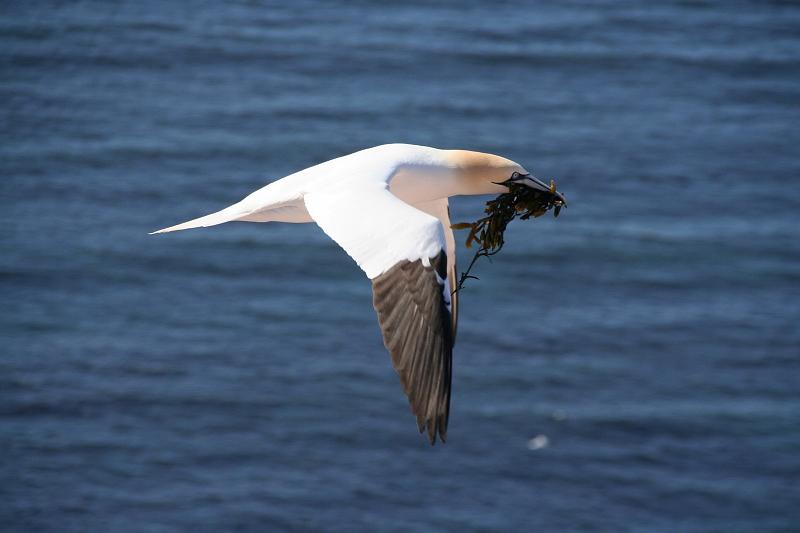 DP-2011-007 Bild0189c.JPG